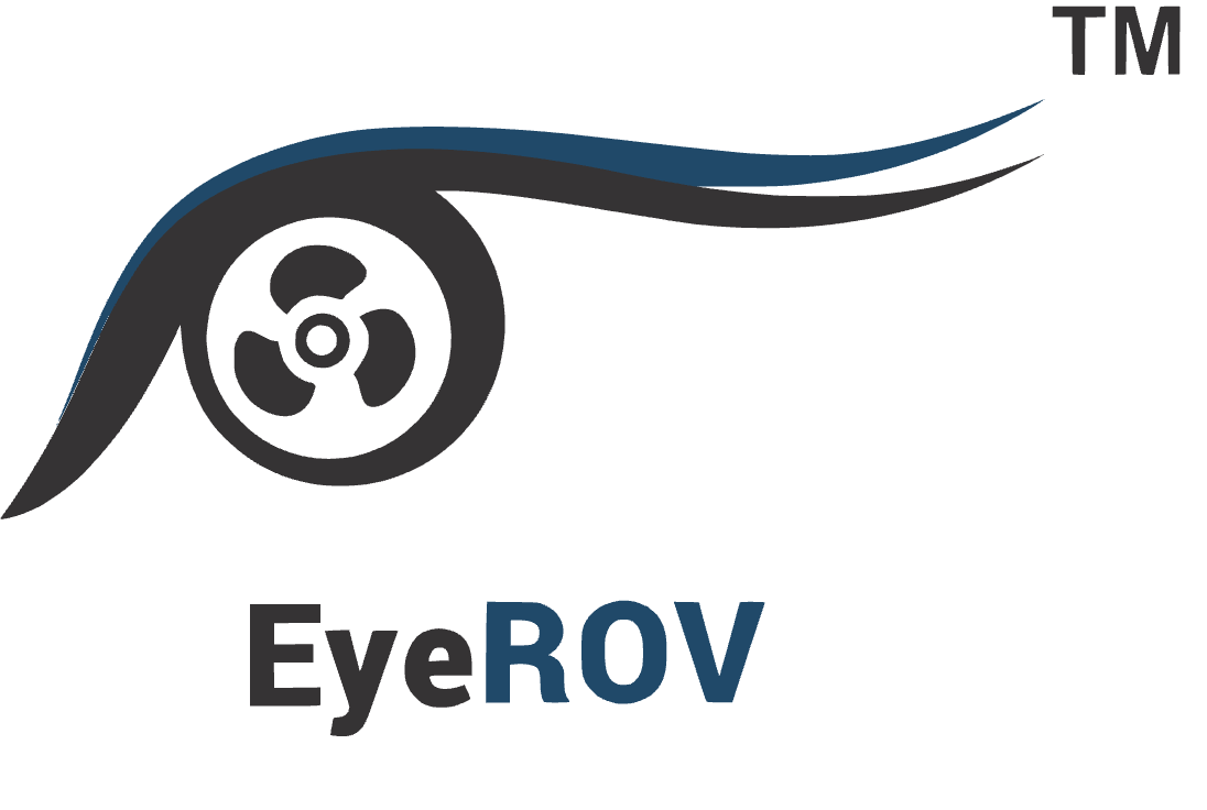 IROV Technologies Private Limited (EyeROV) Logo
